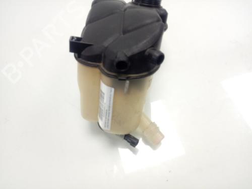 Expansion tank LAND ROVER RANGE ROVER EVOQUE (L538)  | BP12936863C120 