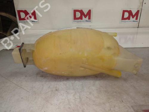 Expansion tank NISSAN PRIMASTAR Van (X83) 1.9 dCi 100 | BP16837916C120 