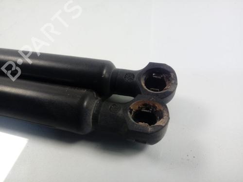 Tailgate lift support RENAULT CLIO IV (BH_)  | BP18026824C138 