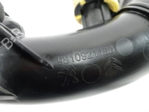 Pipe FIAT SCUDO Van (270_, 272_) 1.6 D Multijet | BP20512322M125 
