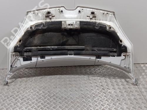 Hood RENAULT KANGOO / GRAND KANGOO II (KW0/1_)  | BP25855010C1 