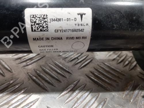 Right front shock absorber TESLA MODEL 3 (5YJ3)  | BP29548334M17 