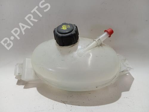 Used Expansion tank RENAULT MASTER III Van (FV) 2.3 dCi 110 FWD (FV0R, FV0W, FV1A) (110 hp) 28671603