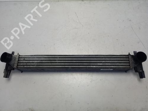 Used Intercooler SEAT IBIZA IV (6J5, 6P1) [2008-2017]  17624261