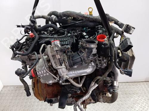 Used Engine FORD TRANSIT CUSTOM V362 Van (FY, FZ) [2012-2025]  25855161