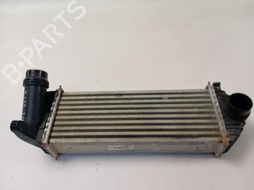 Intercooler RENAULT KANGOO / GRAND KANGOO II (KW0/1_)  | BP28138879M30 