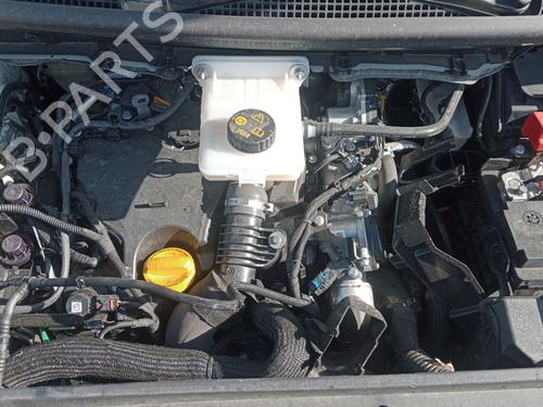 Rat RENAULT KANGOO III MPV  | BP30570911C49  - Image 7