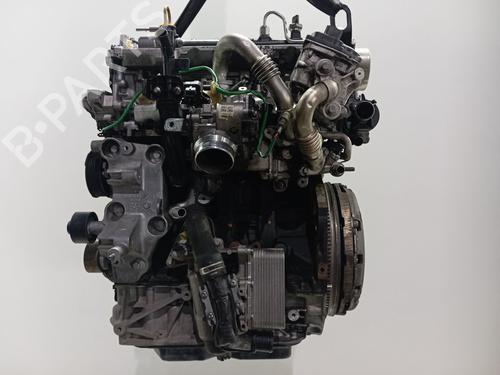Engine RENAULT MASTER III Van (FV) | BP36050281M1 - Image 10