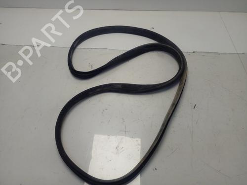 Used Rubber door seal SKODA FABIA II (542) 1.2 (60 hp) 30369401