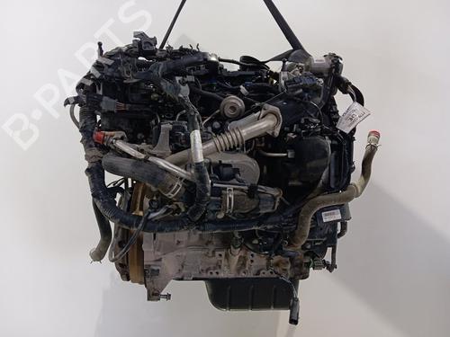 Engine FORD TRANSIT COURIER B460 MPV  | BP22800949M1 