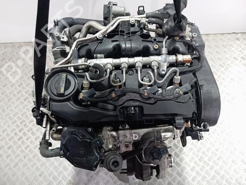 Engine AUDI Q5 (8RB) 2.0 TDI quattro | BP33981069M1  - Image 8