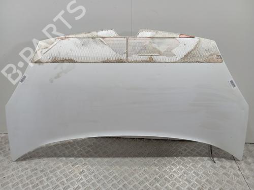 Used Hood RENAULT KANGOO / GRAND KANGOO II (KW0/1_) [2008-2025]  29596139