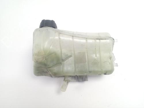 Used Expansion tank RENAULT KANGOO BE BOP (KW0/1_) 1.5 dCi 75 (75 hp) 18829529