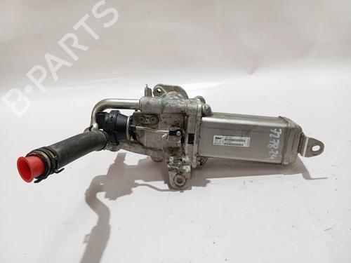 Used Egr NISSAN INTERSTAR Van (X62B) [2021-2025]  30515091