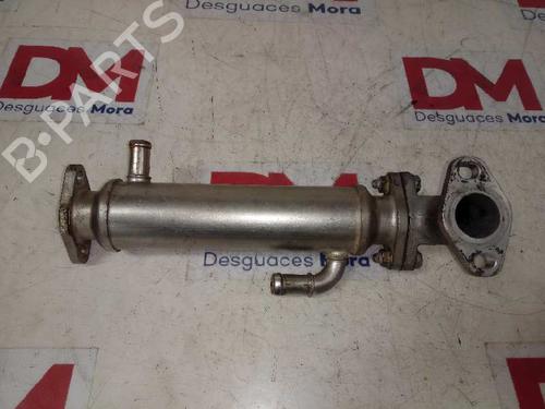 Egr FIAT DUCATO Van (250_)  | BP14131863M69 