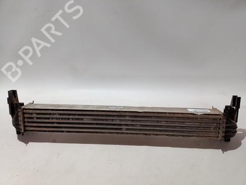 Intercooler VW POLO V (6R1, 6C1) | BP30624430M30