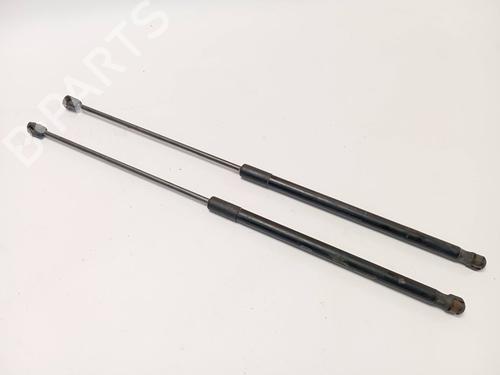 Used Tailgate lift support LAND ROVER RANGE ROVER EVOQUE (L538) [2011-2019]  20716560