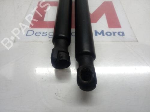 Tailgate lift support FORD KUGA I  | BP14133019C138