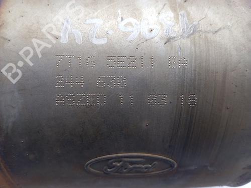 Catalyst FORD TRANSIT CONNECT (P65_, P70_, P80_)  | BP31183278M10 