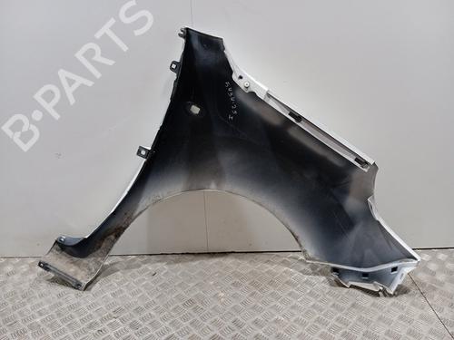 Left front fenders RENAULT KANGOO / GRAND KANGOO II (KW0/1_) 1.5 dCi 90 (KW05, KW08, KW0G, KW11) | BP28814142C41 