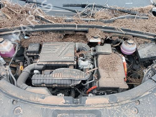  - Image 6
