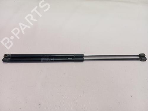 hood-lift-support-porsche-cayenne-92a-2010-2011-2012-2013-2014-2015-2016-2017-2018-32026290 main image