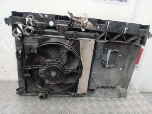 Water radiator PEUGEOT 207 (WA_, WC_) | BP12661735M31