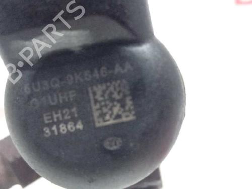 Injector JAGUAR XJ (X350, X358) D 2.7 | BP12666699M100