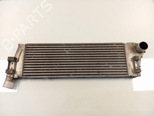 Used Intercooler Intercooler RENAULT MEGANE II Estate (KM0/1_) [2003-2012] 22902408 22902408