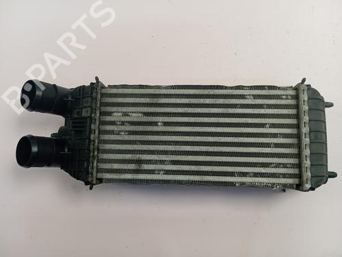 Intercooler CITROËN C3 AIRCROSS II (2R_, 2C_) | BP30373905M30