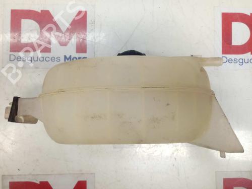 Expansion tank OPEL VIVARO A Bus (X83) 2.0 CDTI (F7, J7, A07) | BP29409861C120 