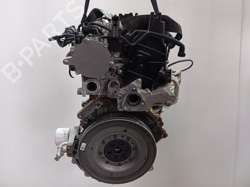 Engine FORD PUMA (J2K, CF7)  | BP22790501M1  - Image 6