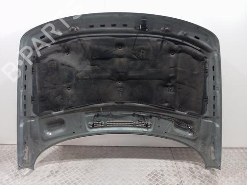 Hood LAND ROVER RANGE ROVER SPORT I (L320) 3.6 D 4x4 | BP29207754C1 
