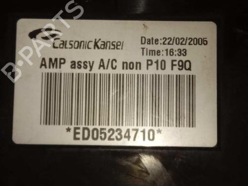 Electronic module NISSAN ALMERA II Hatchback (N16)  | BP29316577M83 