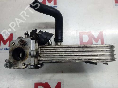 Egr AUDI A3 (8P1) 2.0 TDI 16V | BP14129062M69 