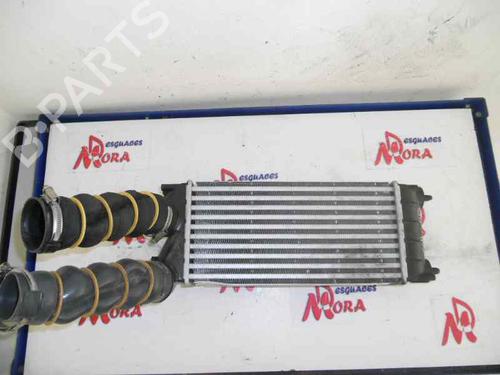 Used Intercooler CITROËN C4 II (NC_) 1.6 HDi 115 (114 hp) 30369077