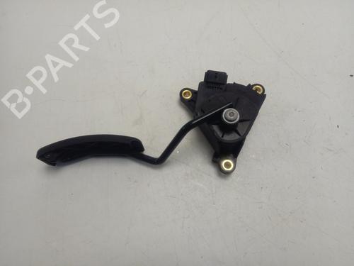 Used Pedal RENAULT KANGOO / GRAND KANGOO II (KW0/1_) 1.5 dCi 90 (KW05, KW08, KW0G, KW11) (90 hp) 16982292