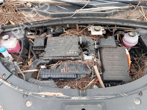  - Image 6