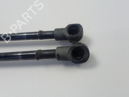 Tailgate lift support SEAT LEON (1P1)  | BP18532181C138 