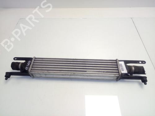 Used Intercooler FIAT GRANDE PUNTO (199_) [2005-2025]  13642120
