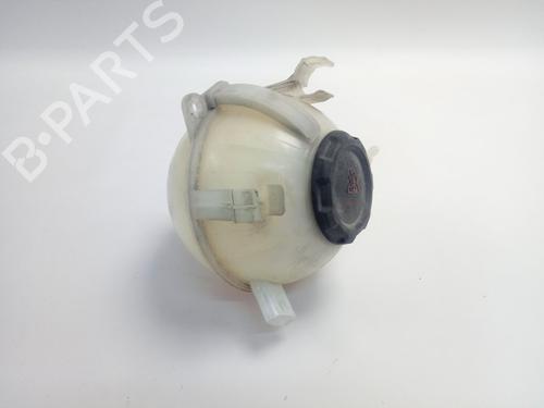 Used Expansion tank VW CADDY IV Box Body/MPV (SAA, SAH) 1.6 TDI (102 hp) 18959977