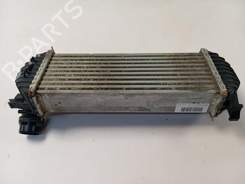 Used Intercooler RENAULT KANGOO / GRAND KANGOO II (KW0/1_) [2008-2025]  28138879