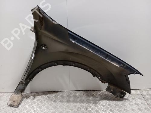 Left front fenders NISSAN QASHQAI I (J10, NJ10) 1.6 | BP29561564C41 