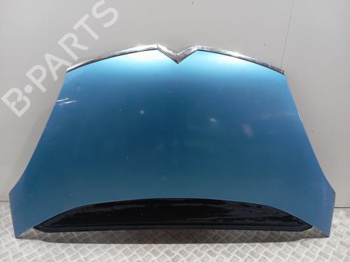hood-citroen-c4-picasso-i-mpv-ud_-2006-2007-2008-2009-2010-2011-2012-2013-2014-2015-34142449 main image