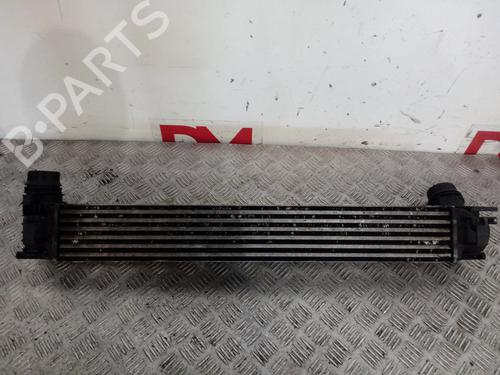 Intercooler RENAULT MEGANE III Coupe (DZ0/1_)  | BP12673039M30 
