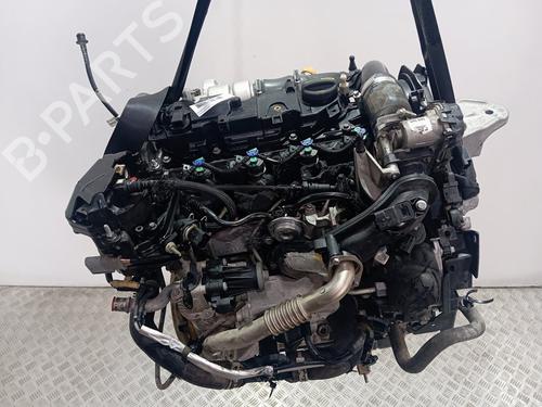 Used Engine FORD ECOSPORT 1.5 EcoBlue TDCi (95 hp) 30373866