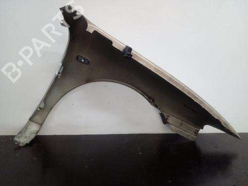 Left front fenders SEAT TOLEDO II (1M2) 1.8 20V | BP13645146C41 