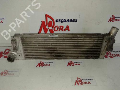 Intercooler RENAULT MEGANE II (BM0/1_, CM0/1_) 1.9 dCi (110 hp) 12644830