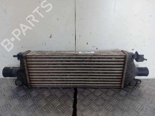 Used Intercooler FIAT SEDICI (189_) 1.9 D Multijet 4x4 (120 hp) 12936303