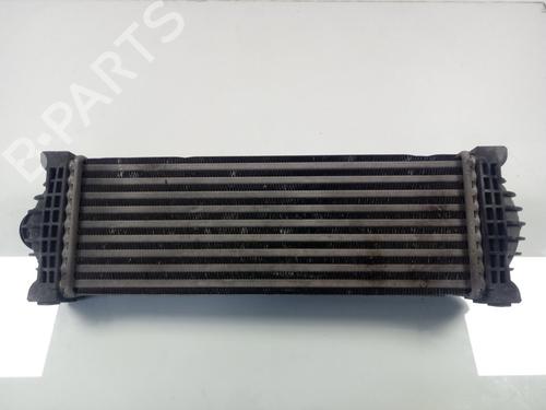 Intercooler FORD TRANSIT V363 Platform/Chassis (FED, FFD)  | BP22555504M30 